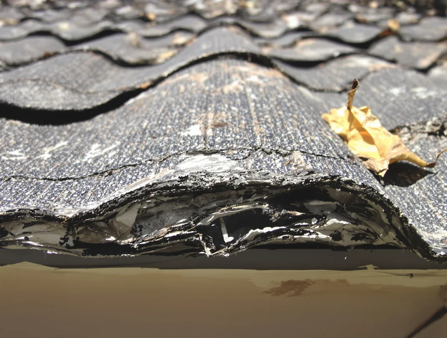 Shingles curling or bald
